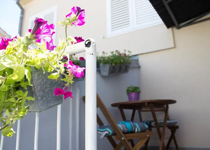 아파트 Renata 비오그라드나모루